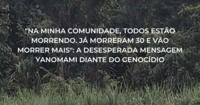 As aterradoras estatísticas oficiais, que dão conta de 570 crianças Yanomami mor…