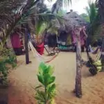 E ai galera, vamos montar uma Aldeia Hippie?
