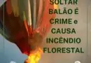 Reposted from @voluntariadoicmbioserraflu  A prática de soltar balões é crime (a…