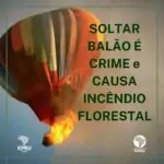 Reposted from @voluntariadoicmbioserraflu  A prática de soltar balões é crime (a…