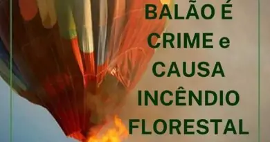 Reposted from @voluntariadoicmbioserraflu  A prática de soltar balões é crime (a…