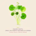 Lançamos hoje, 28 de fevereiro, o Caderno Vegetal “Cordel de Plantas Medicinais …