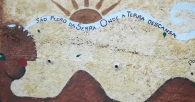 Mural do Colégio Estadual José Martins da Costa!SÃO PEDRO DA SERRA Onde a Terr…