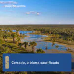Levantamento inédito da organização Global Witness (@global_witness) revela que …