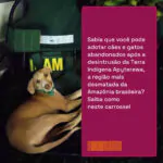 Sabia que você pode adotar cães e gatos abandonados após a desintrusão da Terra …