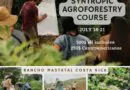 Learn about Syntropic Agriculture in English y Español !!!Sintropic agroforest…