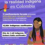 #OrganizarAutodefesaIndígena#DemarcaçãoEAutonomiaJá#REPOST @iprightsintl with …