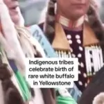 #OrganizarAutodefesaIndígena #DemarcaçãoEAutonomiaJá #REPOST @indigenousintent…