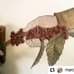 Quem somos?Marcela da Terra é mineira, residente em SC.#Repost @marceladater…