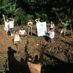 Mutirão para plantio de arroz na UPEPA JaqueiraNeste Sábado dia 26/08 alguns m…