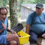 Caminhada Grio no Pouso da Cajaiba Paraty RJ#sececrj #Culturapresente #leialdi…