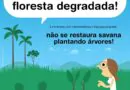 Artigo publicado na revista científica Science aborda erros e acertos de projeto…