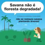 Artigo publicado na revista científica Science aborda erros e acertos de projeto…
