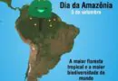 Todo Dia é Dia da Amazônia, de seus povos, da floresta com toda sua vida, da par…