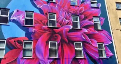 What an absolutely gorgeous fucking piece by @sophiemess_ … Wow  In Waterford, I…