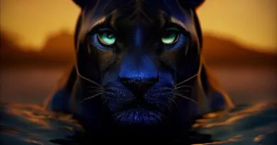 Black Panther #digitalart #art #ai #aiart #artist #panther #blackpanther #midjou…