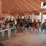 Grupo Kaagwy Mirim Atividade Kaagwy MirimTekoa Kaagwy Porã Aldeia Nova Esper…