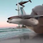 Returning home.Follow@trippypark @trippypark @trippypark – @dubai_dreamlan…