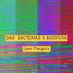 Lançaremos hoje, 25/11, às 18h, uma coletânea de vídeos realizados por Lynn Marg…