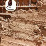 Trabalho coletivoConstrução da Opy A cultura indígena vive Aldeia Nova Espe…