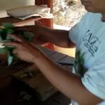 Neide falando um pouquinho sobre Umbaúba!…