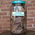 Existem dois tipos de Quina Vermelha, tanto do cerrado quando da Caatinga, sendo…