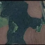 Fazer e Viver >Ecovilas >Permacultura >Bioconstrução