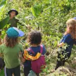 Eco Caminhos
