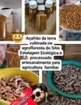 Implantadores de Agrofloresta