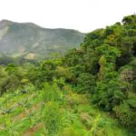 Eco Caminhos