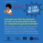 SE LIGA NO PNAE! ⁣⁣Em 2009, foi aprovada a Lei do Pnae (Lei 11.947/2009), que …