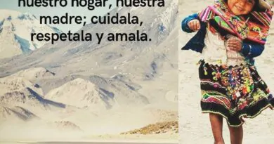 Medicina Andina – Kamisaraki=Buenos días. @medicina_andina#vivirbien #esperanza #aymara #quechua …
