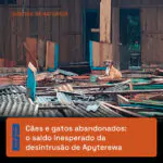 Eles andavam sobre os escombros, buscando abrigo num cenário de destruição. As c…