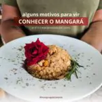 O @mangaragastronomia é um restaurante “plant based” à base de plantas, ou seja …